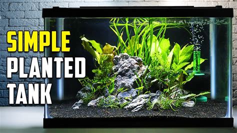 How to Build a Fish Tank: Easy 12.